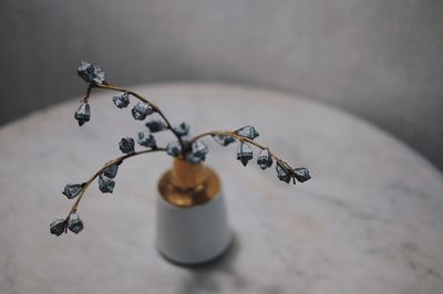 High angle view of faucet in container on table