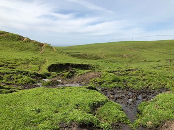 Scenic view of green landscape against sky