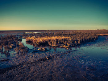 Scenic view of sea against clear sky