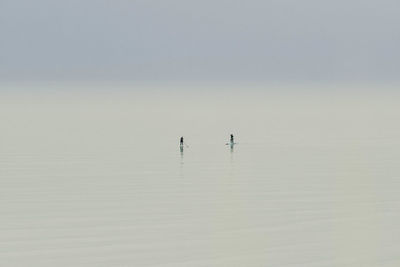 Two people on paddleboard enjoying endless ocean