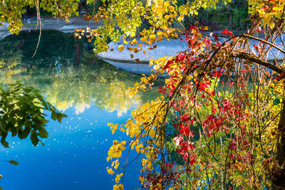 Scenic view of lake