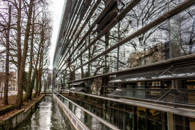 Bridge amidst trees and buildings in city