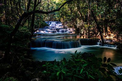 Scenic view of waterfall in forest