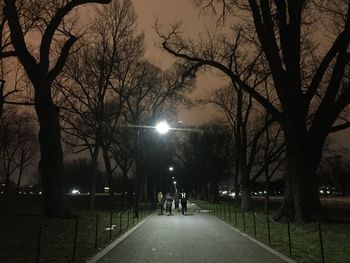 Silhouette of trees in park at night