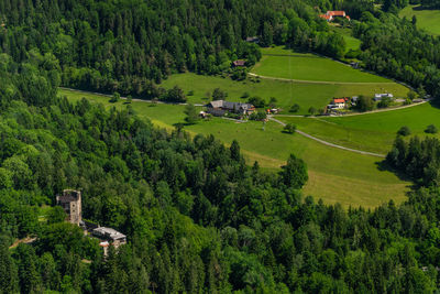 High angle view of trees on landscape