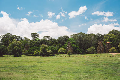 Trees on field against sky