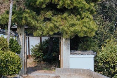 Entrance of abandoned building