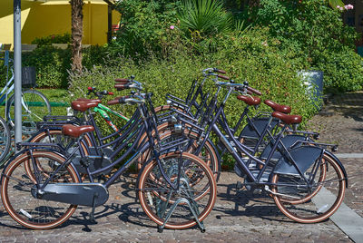 Bicycles parked on street in field