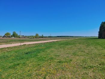 Scenic view of field against clear blue sky