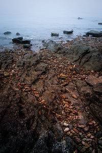 Scenic view of sea shore against sky