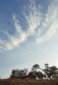 Low angle view of trees against cloudy sky