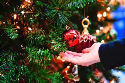 Midsection of person holding christmas tree