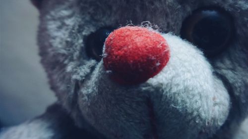Close-up of red object