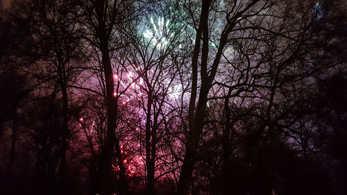 Low angle view of trees against sky