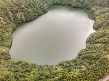 High angle view of trees on landscape