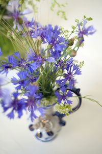 Close-up of purple flowers