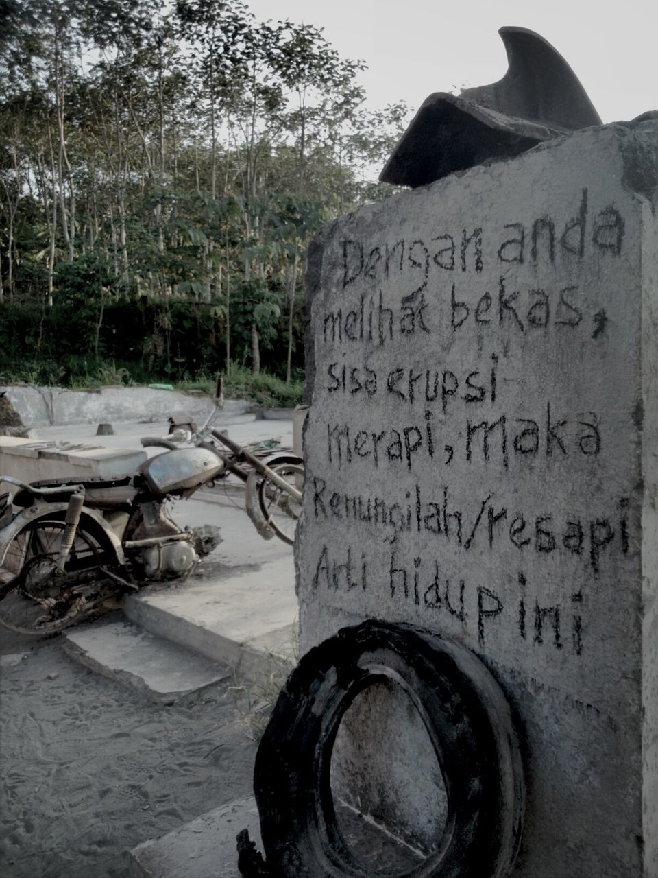 text, western script, communication, close-up, tree, non-western script, capital letter, focus on foreground, day, outdoors, no people, information, message, nature, old, sky, sign, information sign, transportation, part of