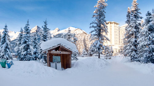 Snow covered trees and buildings on field