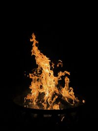 Close-up of fire against black background