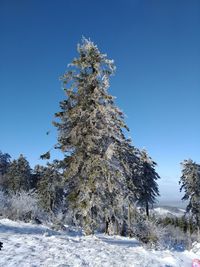 Tree on snow covered field against clear blue sky