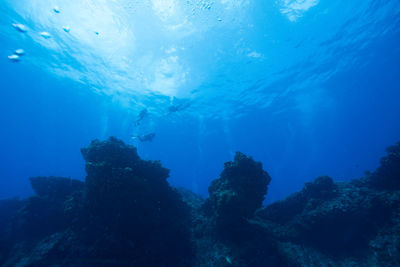 Scenic view of sea and swimming underwater