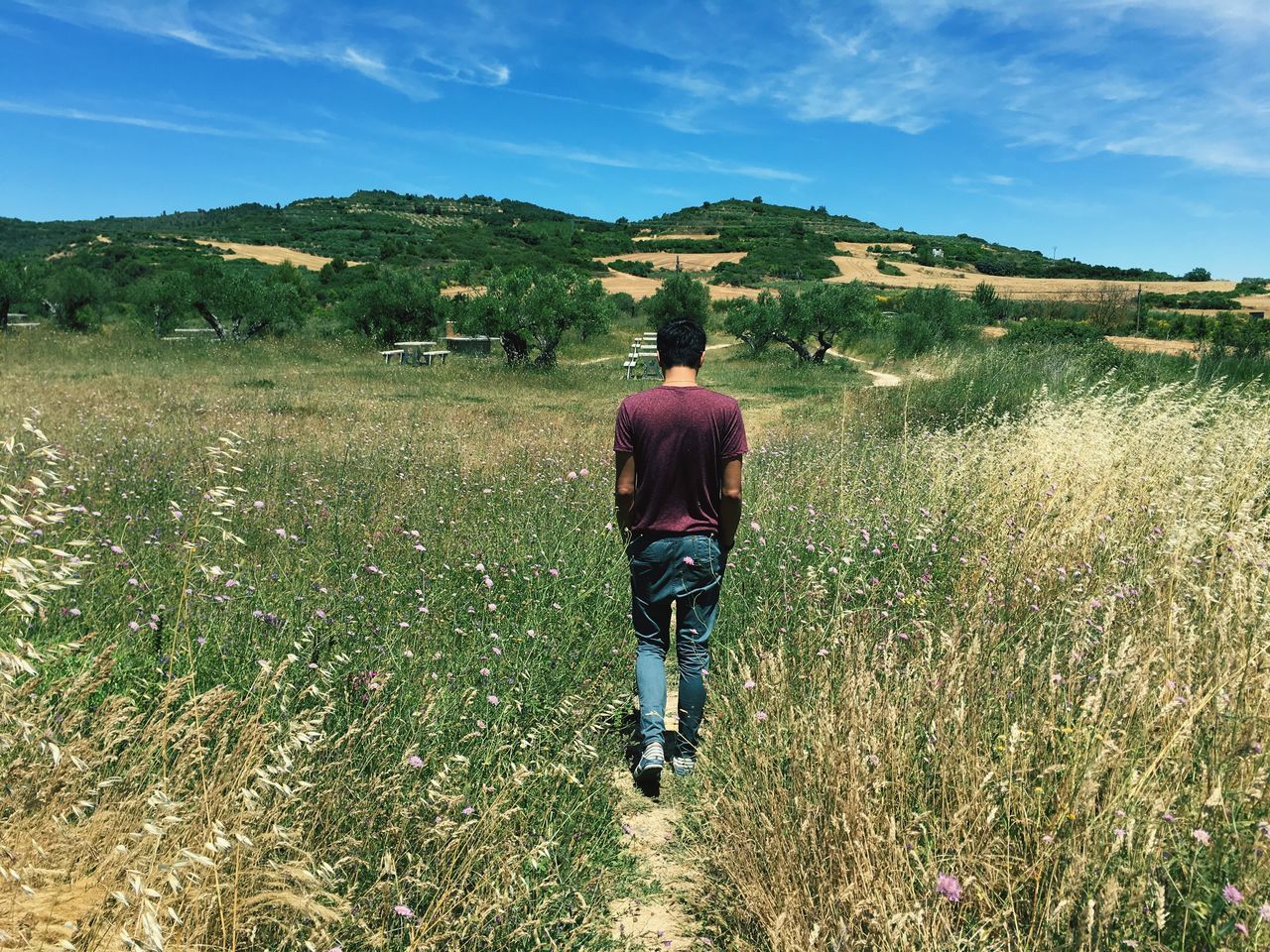 full length, lifestyles, casual clothing, rear view, leisure activity, sky, landscape, grass, walking, field, tranquility, standing, tranquil scene, nature, person, men, rural scene, backpack