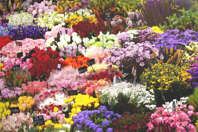 Multi colored flowers at market stall