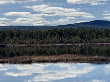 reflection