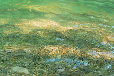 River water bottom texture. light green transparent mountain river in bright sunlight. summer 