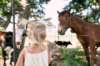 Rear view of woman with horse