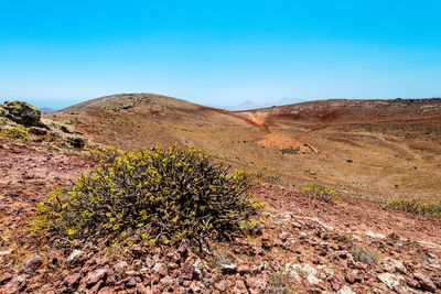 Scenic view of landscape against clear sky