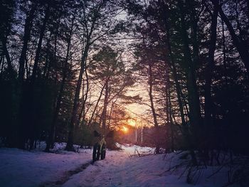 Snow covered trees against sky during sunset