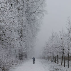 winter