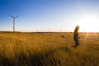 Female operator walks through a wind farm at sunset