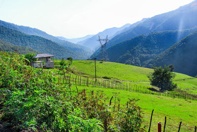 Scenic view of vineyard against sky