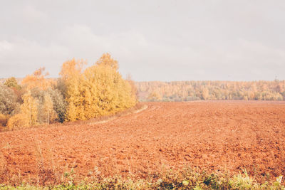 Scenic view of field against sky during autumn