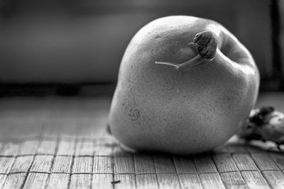Close-up of pear with snail on table