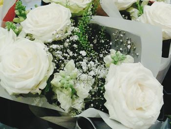 Close-up of white roses