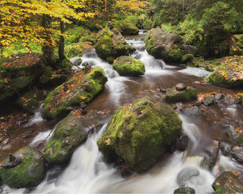 Stream flowing through rocks in forest