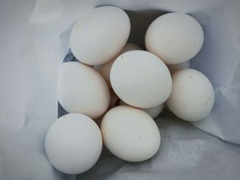 High angle view of eggs in container on table