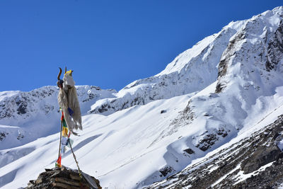 Scenic view of snow covered mountains against clear blue sky, annapurna