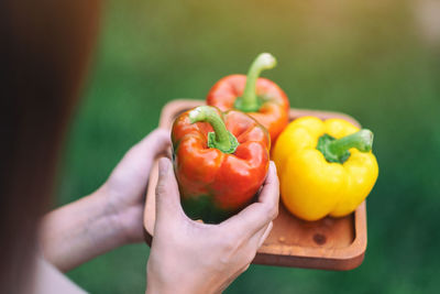 Close-up of hand holding fruits