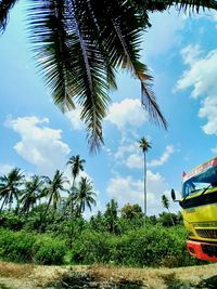 Palm trees by road against sky