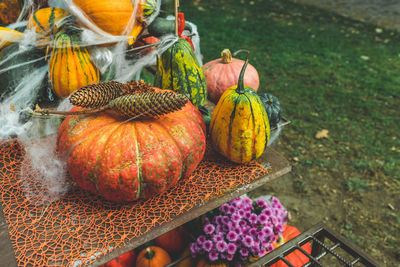 Pumpkins halloween garden decor with flowers, web and pine cones. close up, selective focus