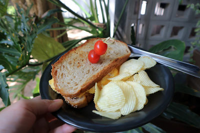 Cropped image of person holding breakfast