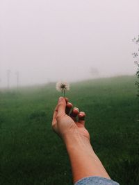 Cropped hand holding dandelion on grassy field against clear sky during foggy weather