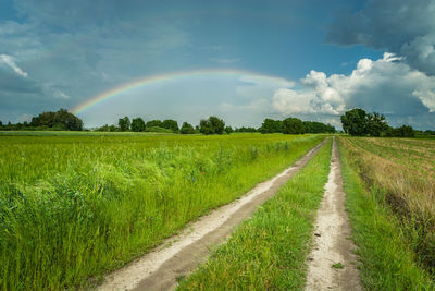 Country road in the fields and rainbow in the sky, summer view