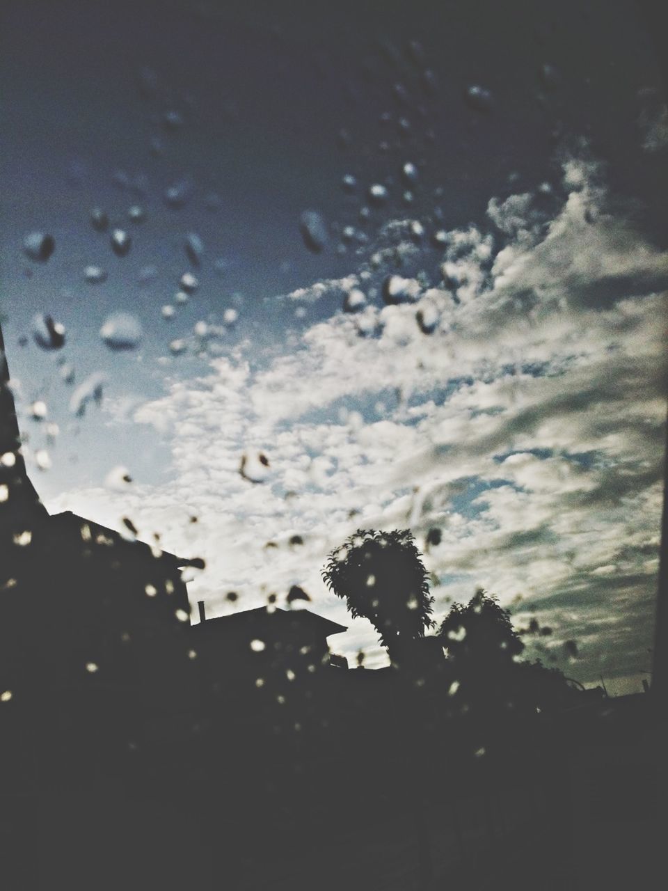 wet, drop, window, rain, sky, weather, glass - material, transparent, silhouette, water, indoors, raindrop, dusk, season, cloud - sky, building exterior, built structure, glass, architecture, nature