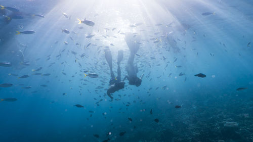 Couple scuba diving in sea