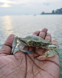 Close-up of person holding hands